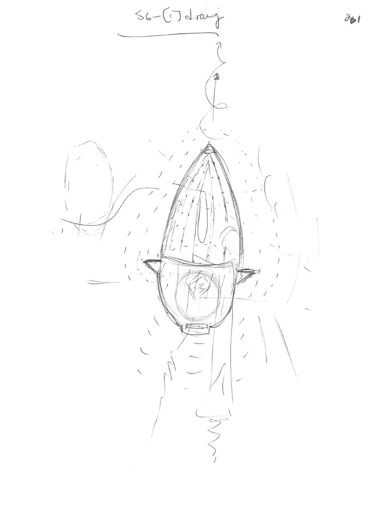 Tic Tac UFO / UAP Original 2